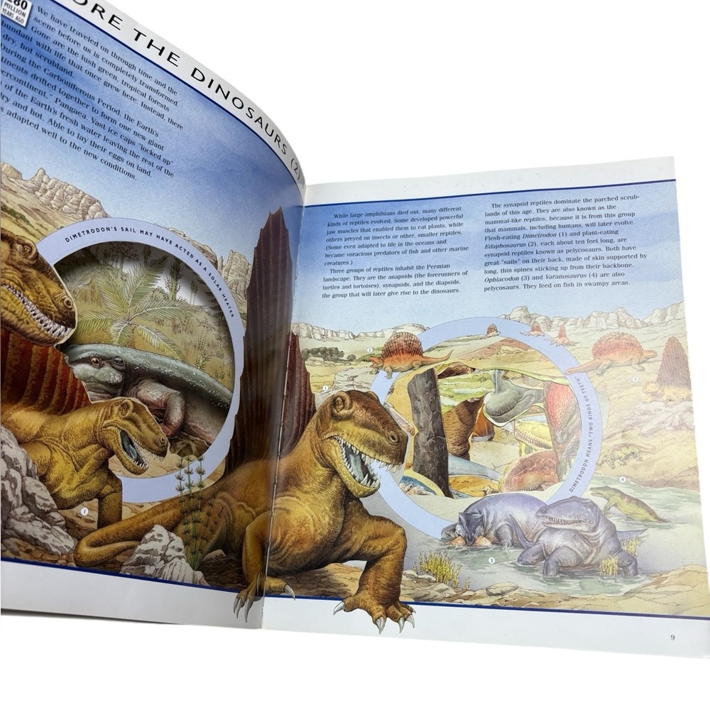 Journey Through the World of the Dinosaurs Book - Picture 6 of 12